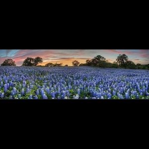 Meet your Posher, Tracey